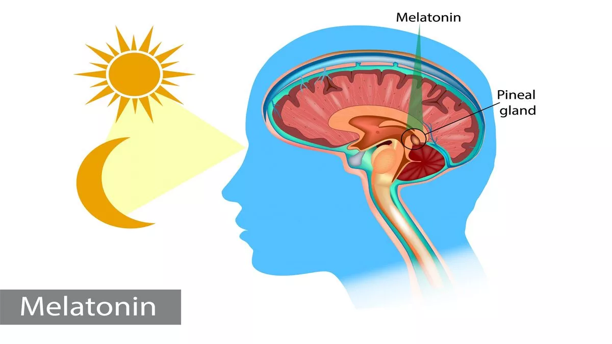 Can Melatonin Cause Panic Attacks